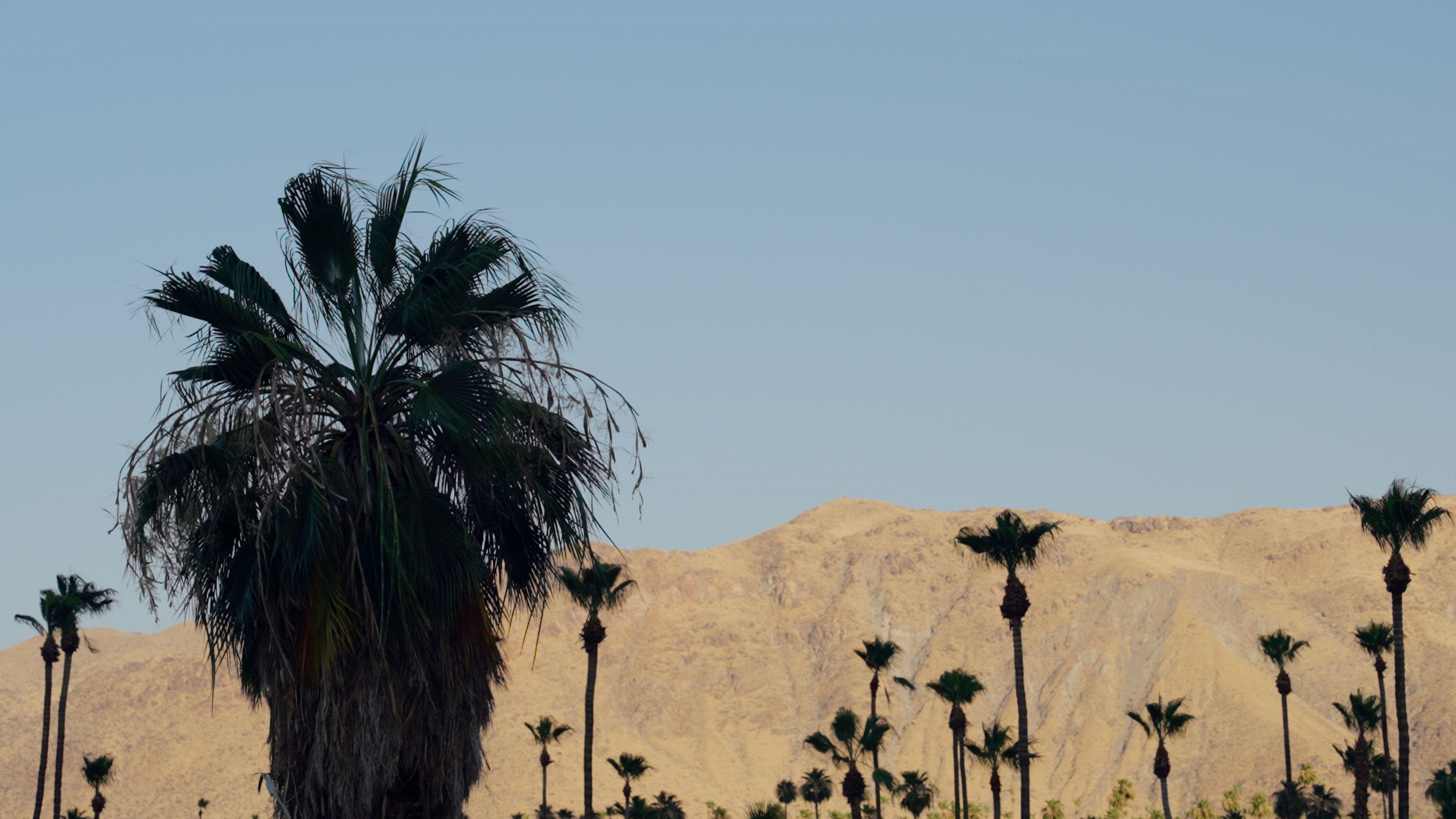 Royal Sun Palm Springs Hotel Buitenkant foto
