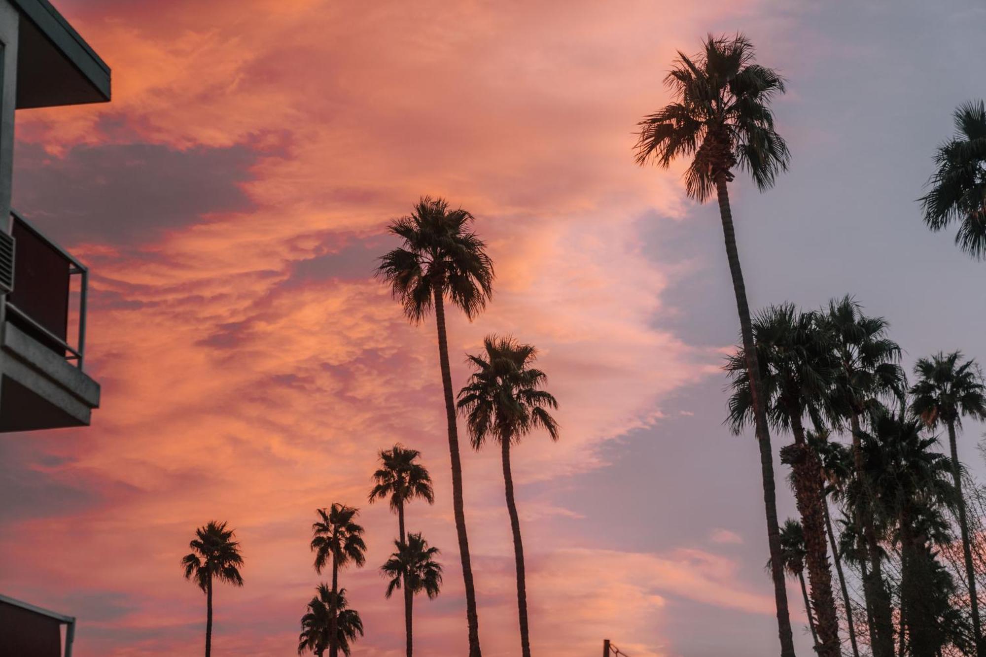 Royal Sun Palm Springs Hotel Buitenkant foto